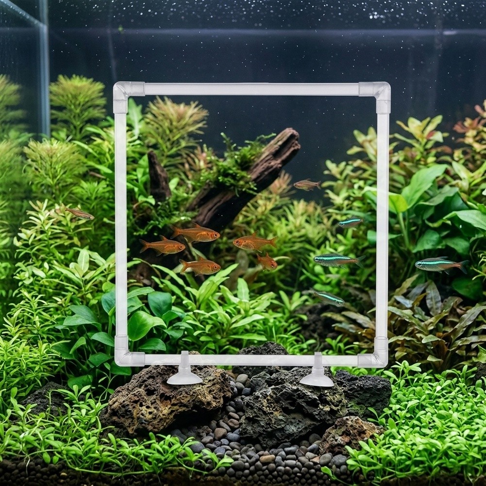 Aquarium Floating Plant Corral - Aquarium Fish Zone avis et prix