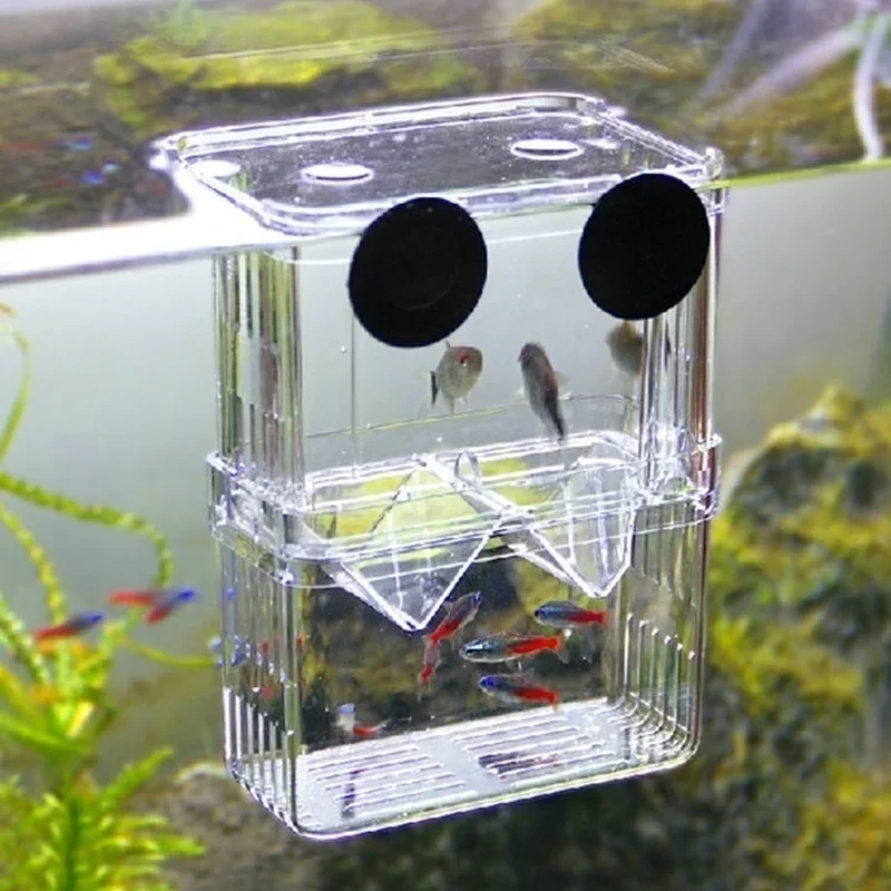 Multifunctional Fish Aquarium  - Aquarium Xxl avis et prix