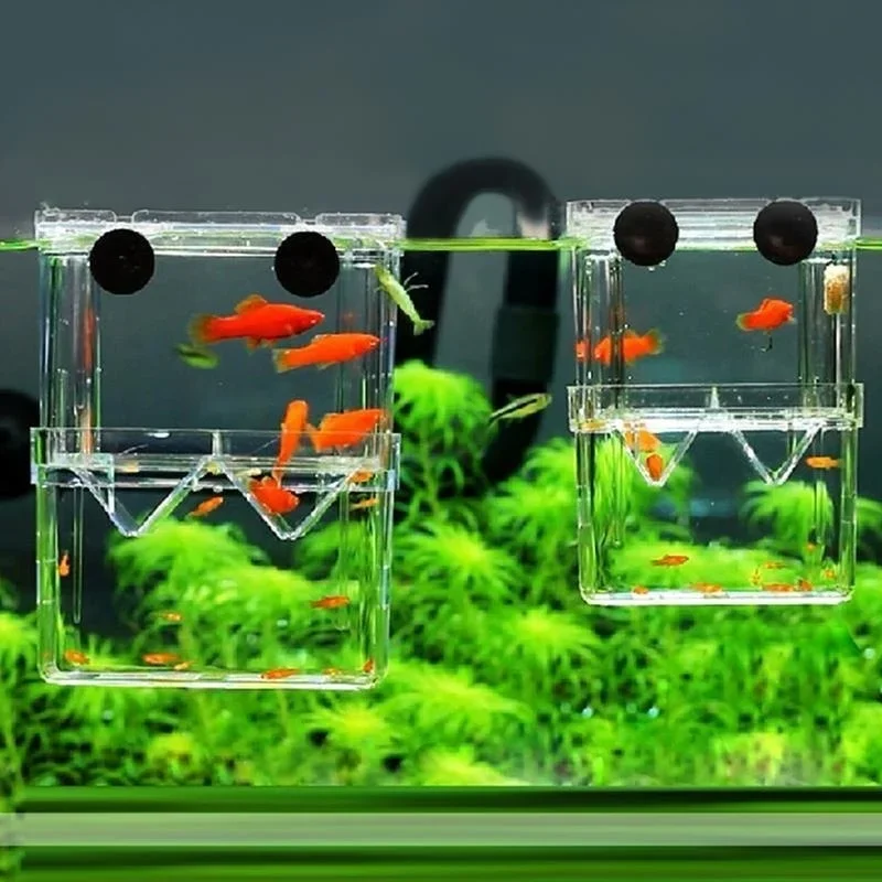 Multifunctional Fish Aquarium  - Aquarium Xxl avis et prix