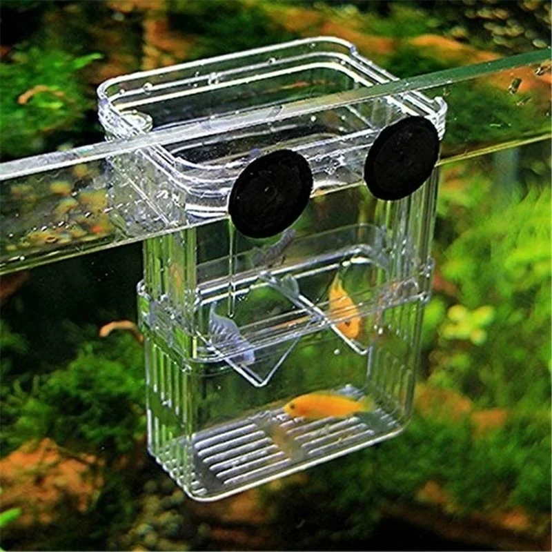 Multifunctional Fish Aquarium  - Aquarium Xxl avis et prix