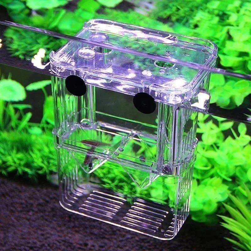 Multifunctional Fish Aquarium  - Aquarium Xxl avis et prix