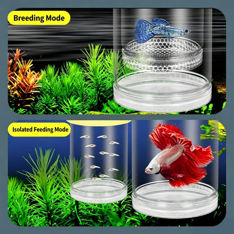 Transparent Floating Aquarium  - Aquarium Xxl avis et prix