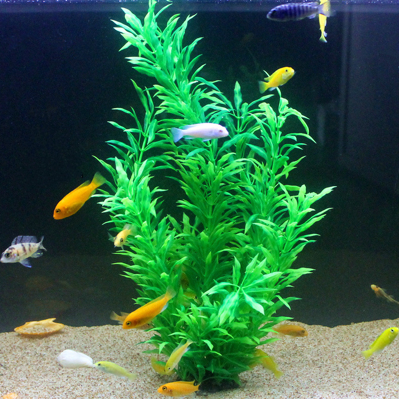 50CM Artificial Fish Tank Rare - Aquarium Fish Real avis et prix
