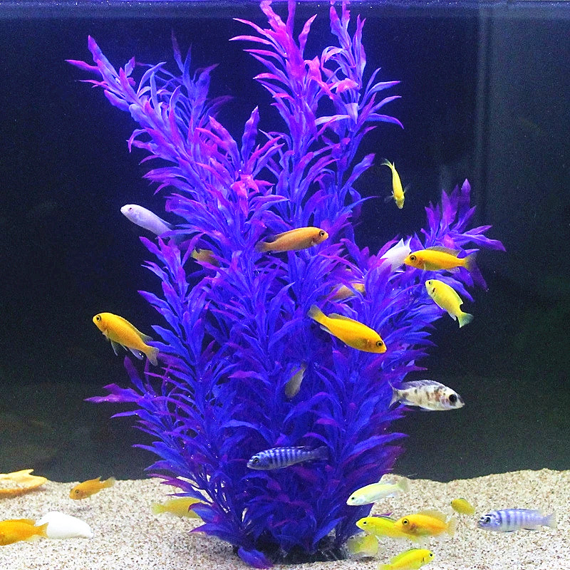 50CM Artificial Fish Tank Rare - Aquarium Fish Real avis et prix