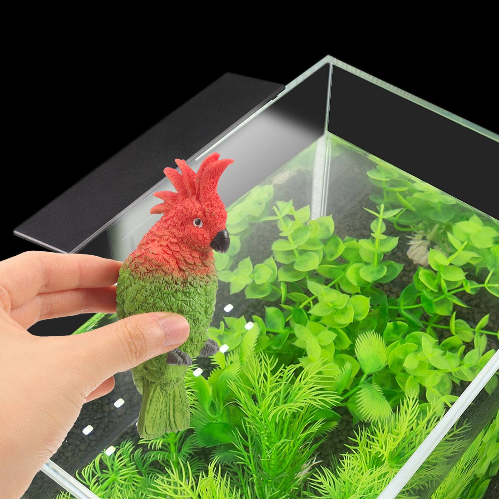 Mini Parrot Aquarium Wall Hang - Aquarium Fish Parrot avis et prix