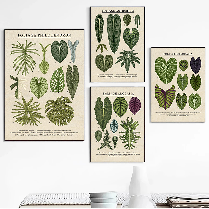 Foliage Philodendron Plant Can - Live Plant Fertilizer avis et prix