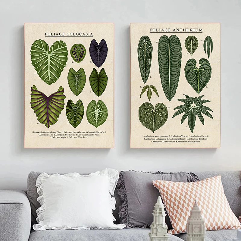 Foliage Philodendron Plant Can - Live Plant Fertilizer avis et prix