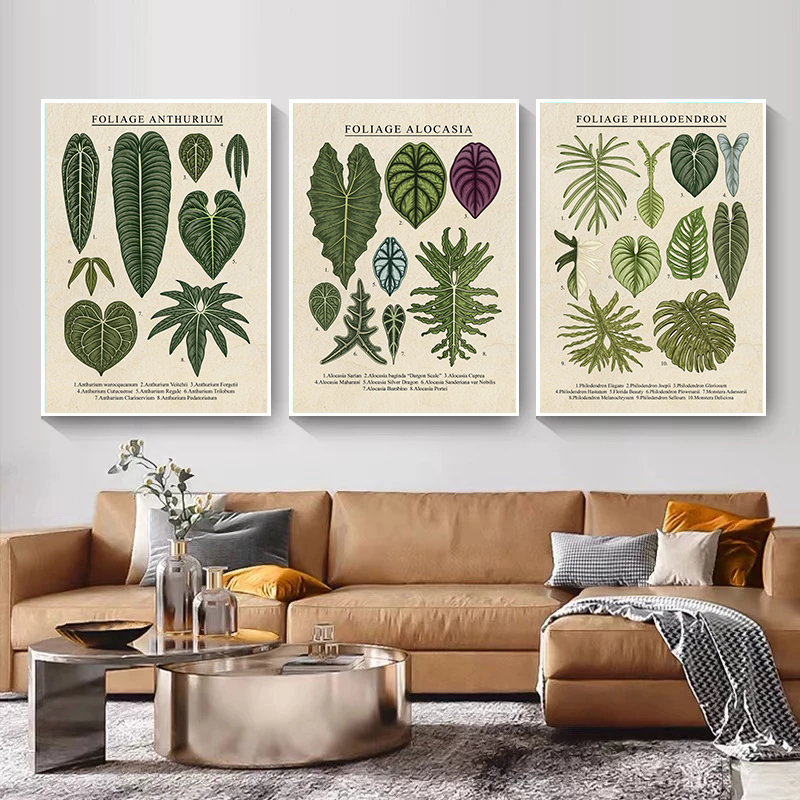 Foliage Philodendron Plant Can - Live Plant Fertilizer avis et prix
