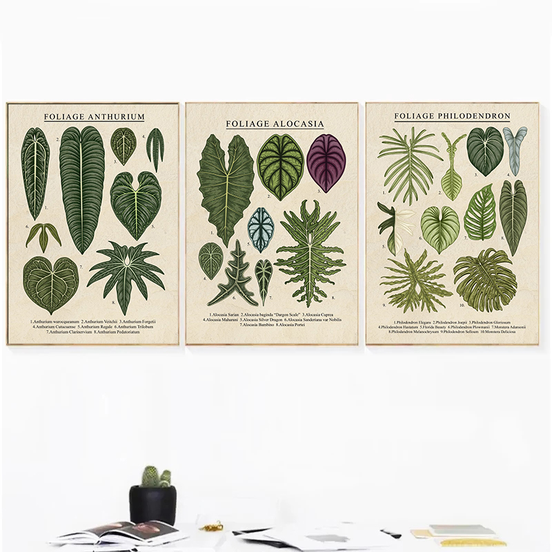 Foliage Philodendron Plant Can - Live Plant Fertilizer avis et prix