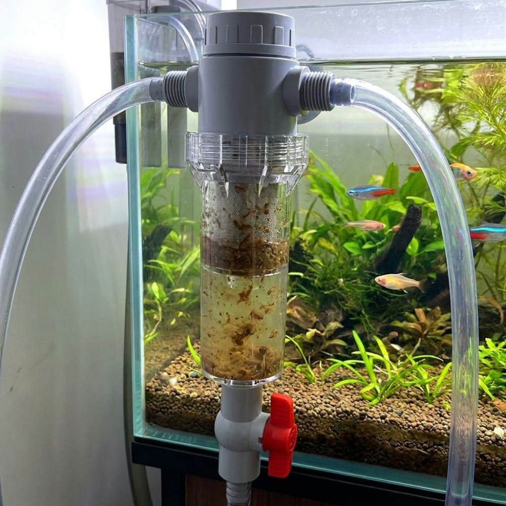 1/2 Thread Aquarium Feces Sepa - Aquarium Fish Rate avis et prix