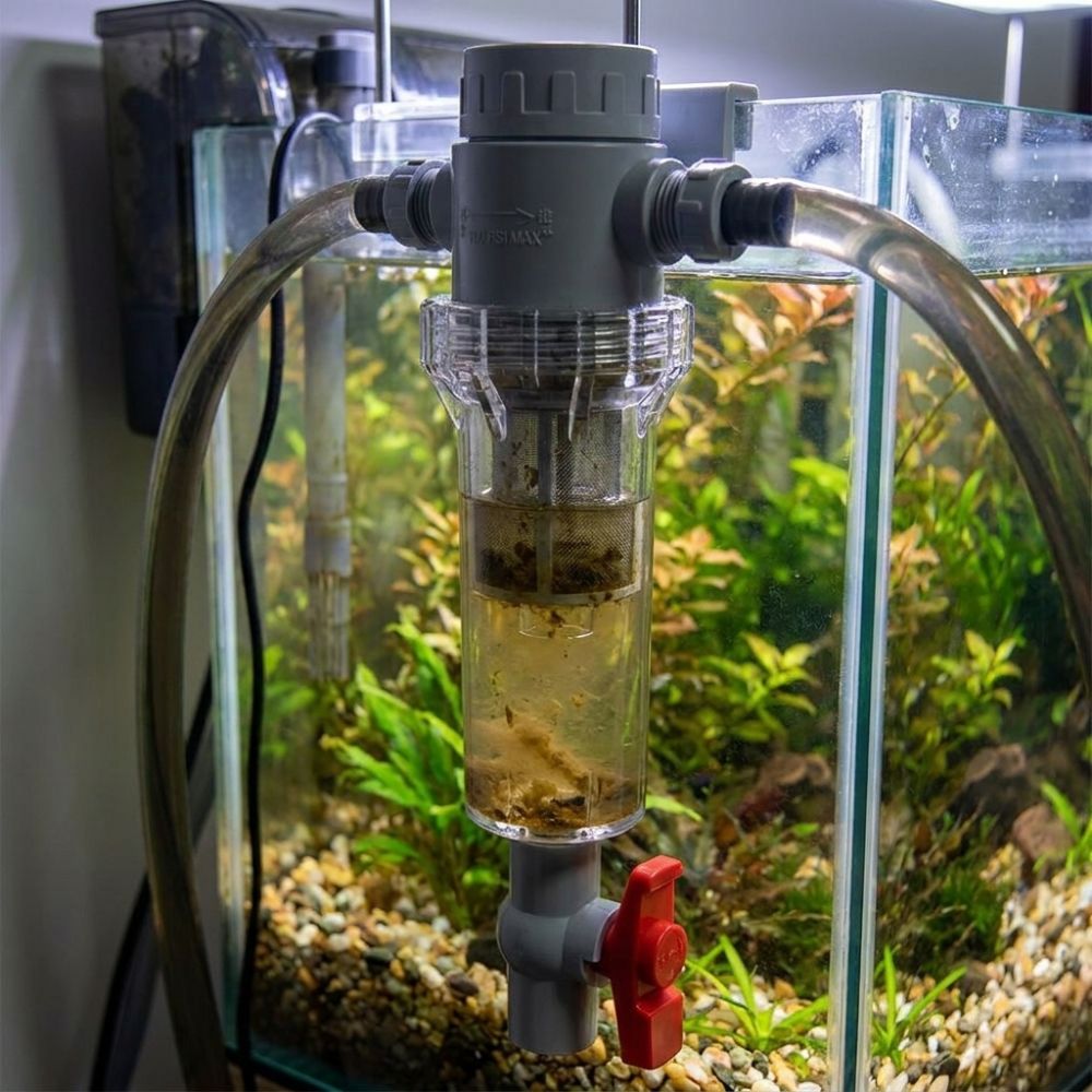 1/2 Thread Aquarium Feces Sepa - Aquarium Fish Rate avis et prix