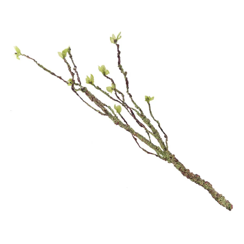 Vines Decor Climbing Branches  - Aquarium Fish Real avis et prix