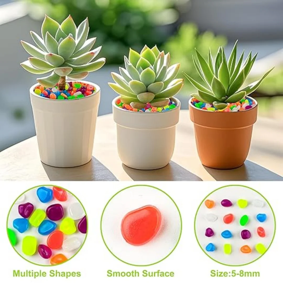 500Pcs Glow in The Dark Garden - Aquarium Fish Gallery avis et prix