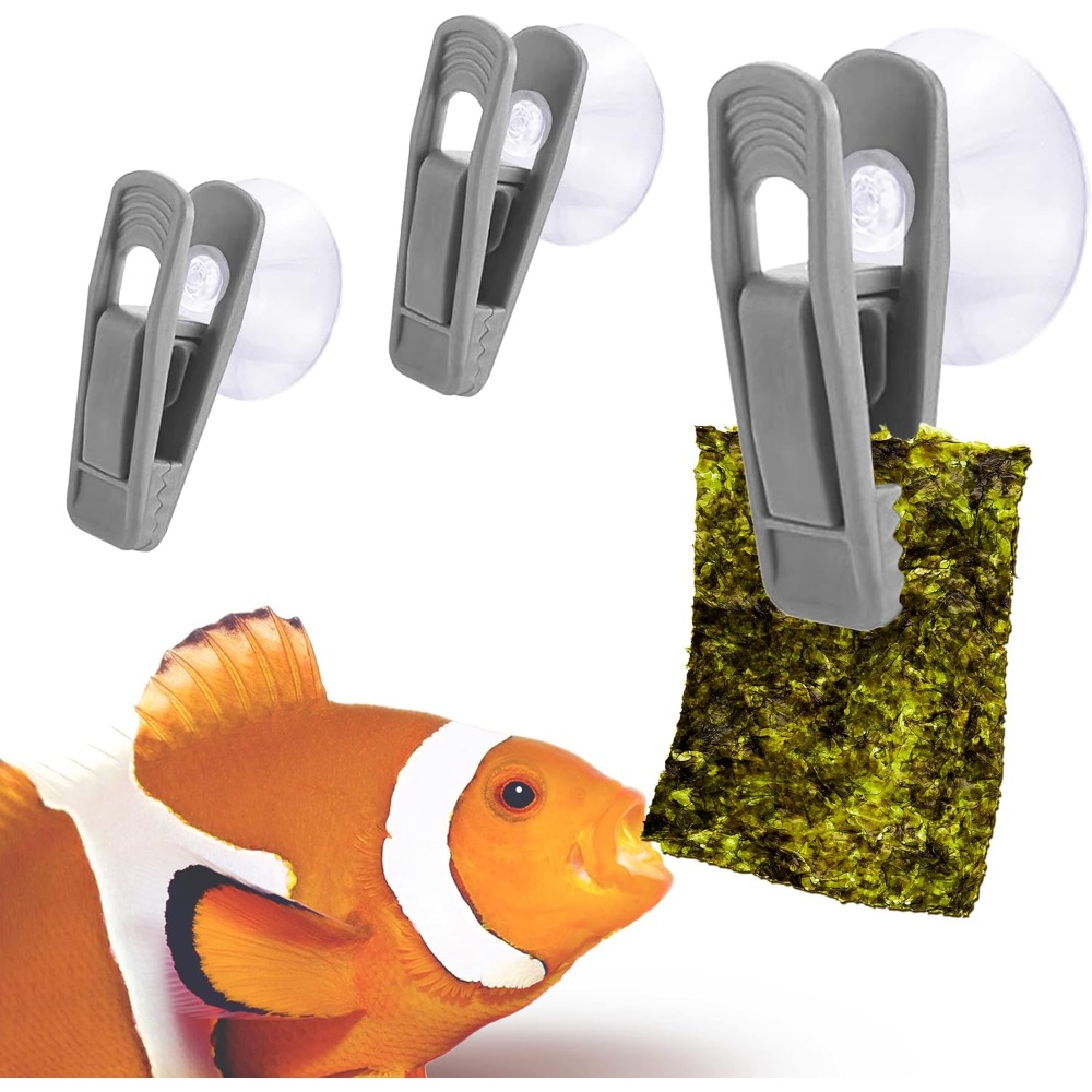 Fish Veggie and Kelp Suction C - Aquarium Fish Vitamin avis et prix