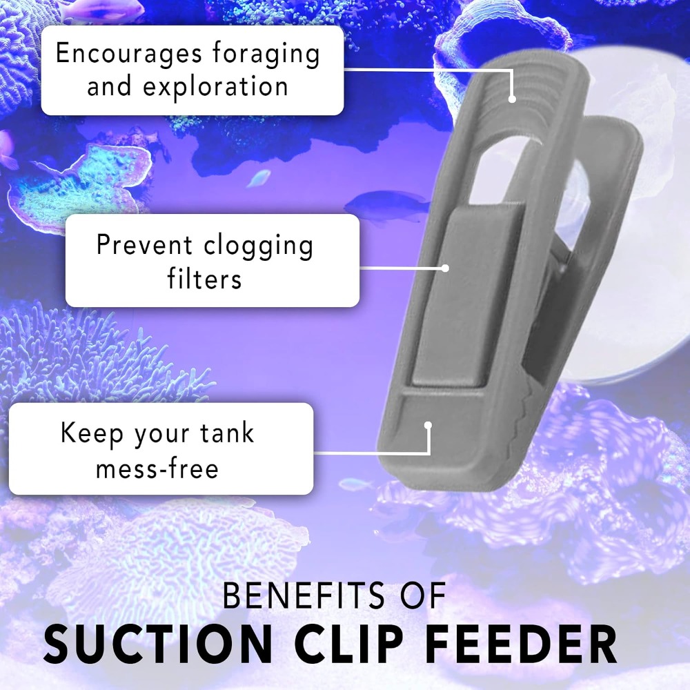 Fish Veggie and Kelp Suction C - Aquarium Fish Vitamin avis et prix