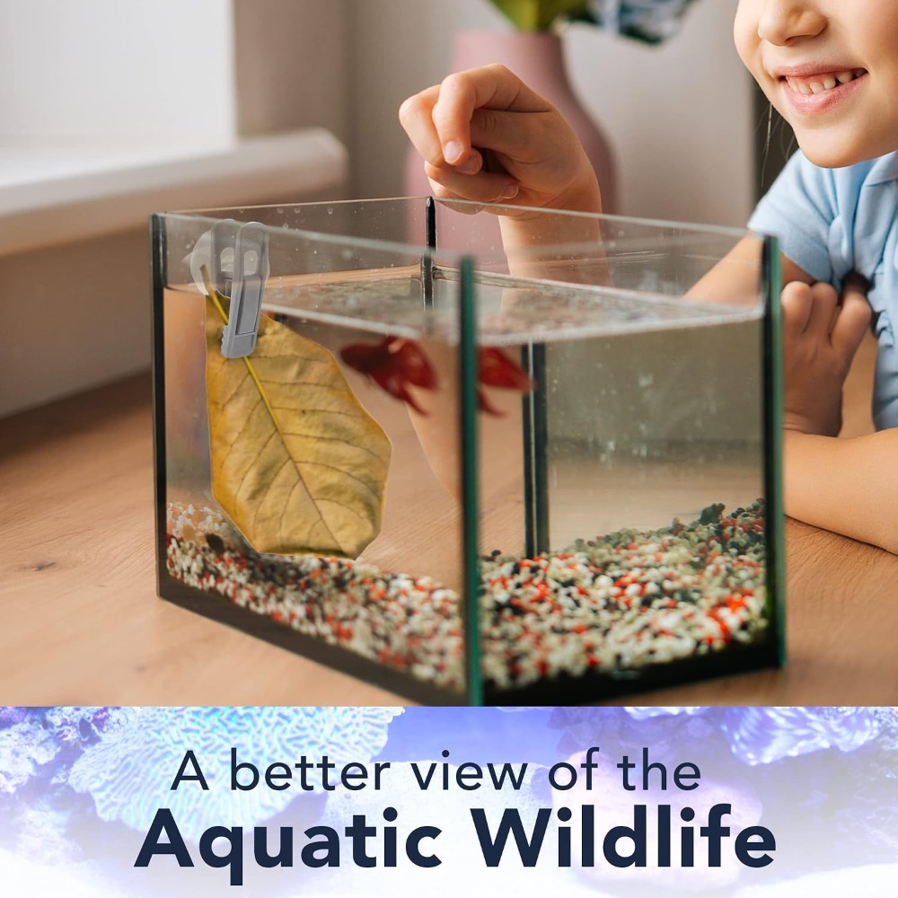 Fish Veggie and Kelp Suction C - Aquarium Fish Vitamin avis et prix